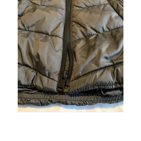 Zara Baby Toddler Dinosaur Puffer Jacket Coat Zip Up 2/3 - Picture 8 of 8